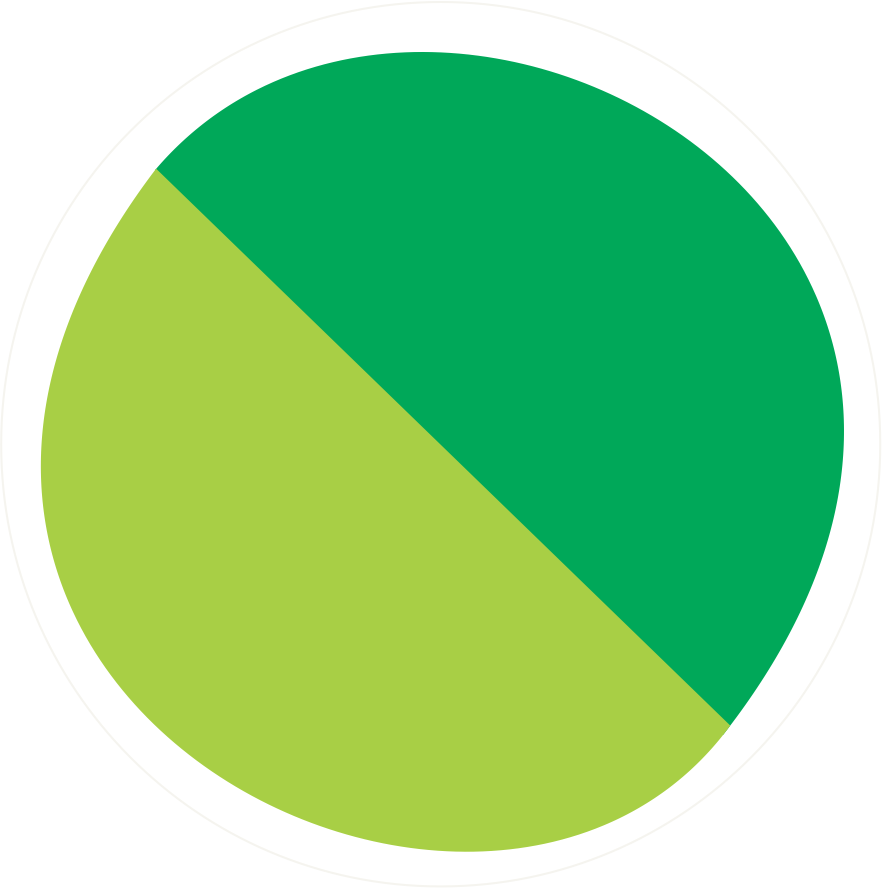 سبز و فیروزه ای